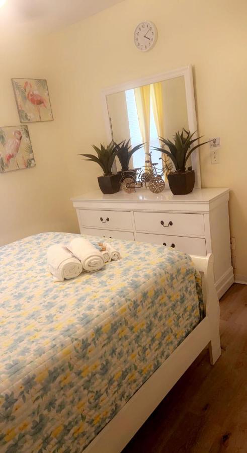 Caribbean Splendor Vacation Rental Near Bush Gardens Tampa Fl Екстериор снимка